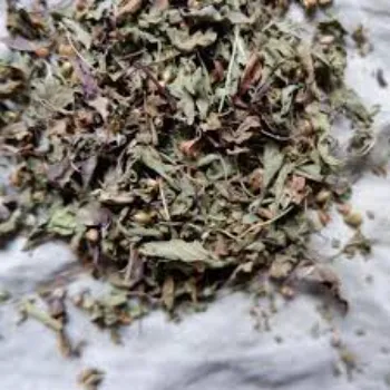 Pure Dried Tulsi Leaves